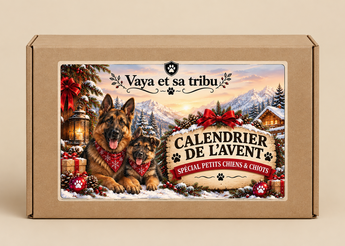 🎄  Calendrier de l'Avent - Petits chiens et chiots
