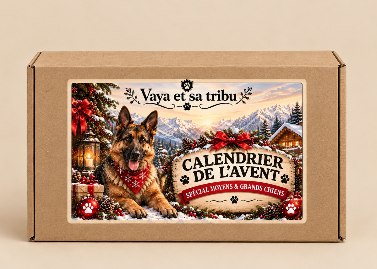 🎄 Calendrier de l'Avent - Moyens et grands chiens
