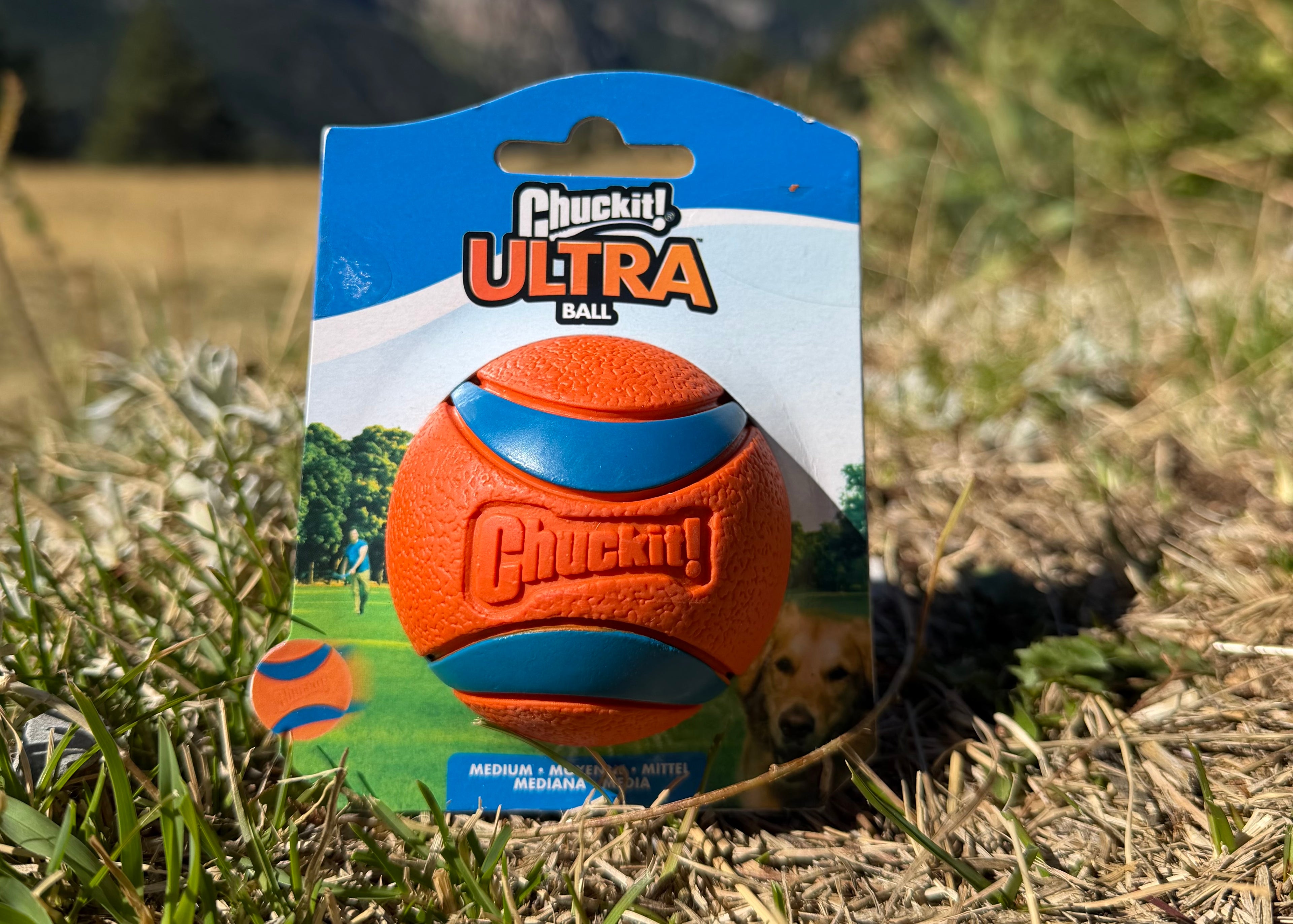 Balle Ultra Ball Small - Chuckit ! - Taille M