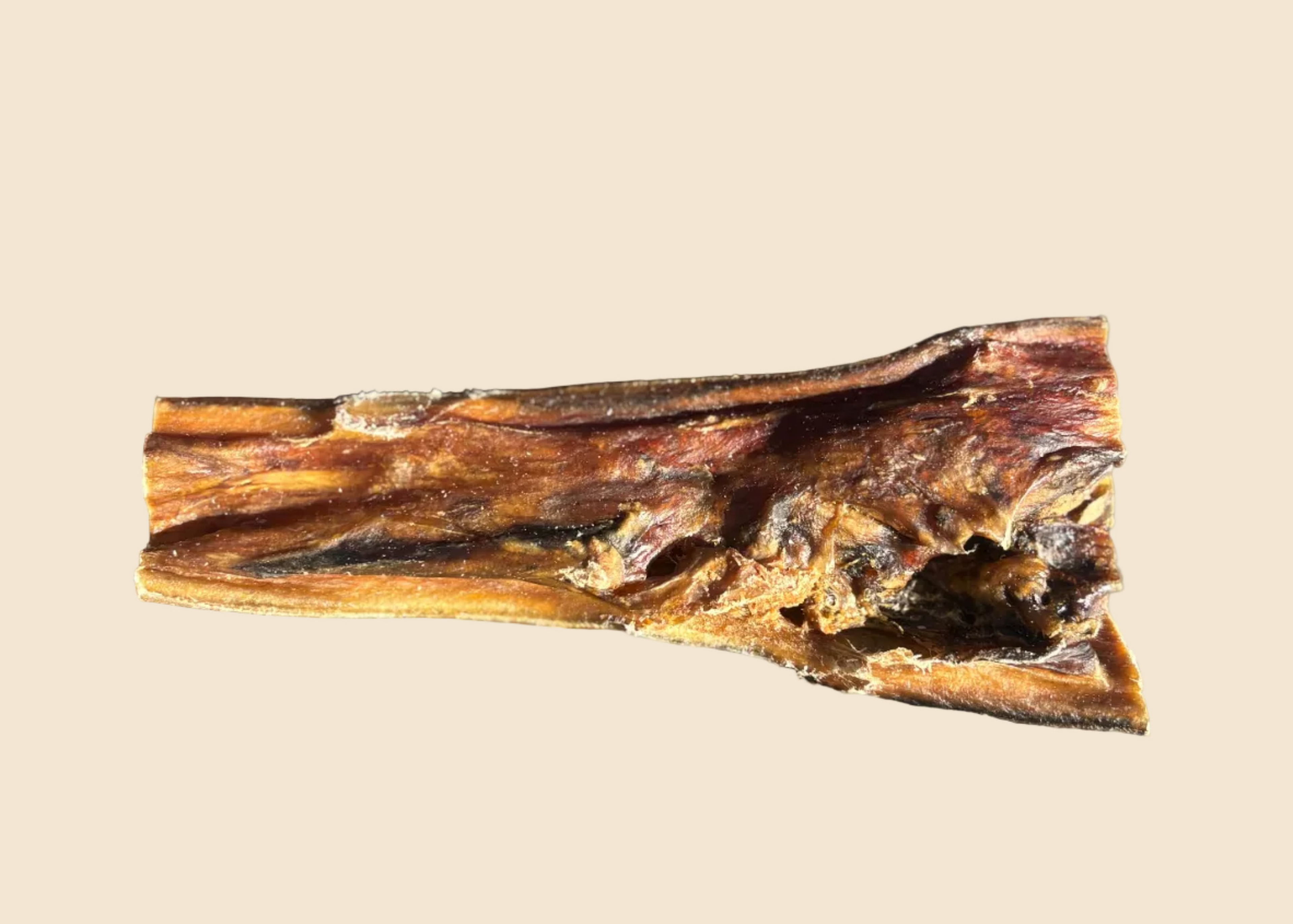 Peau de tête de boeuf (15 cm / 30 cm)