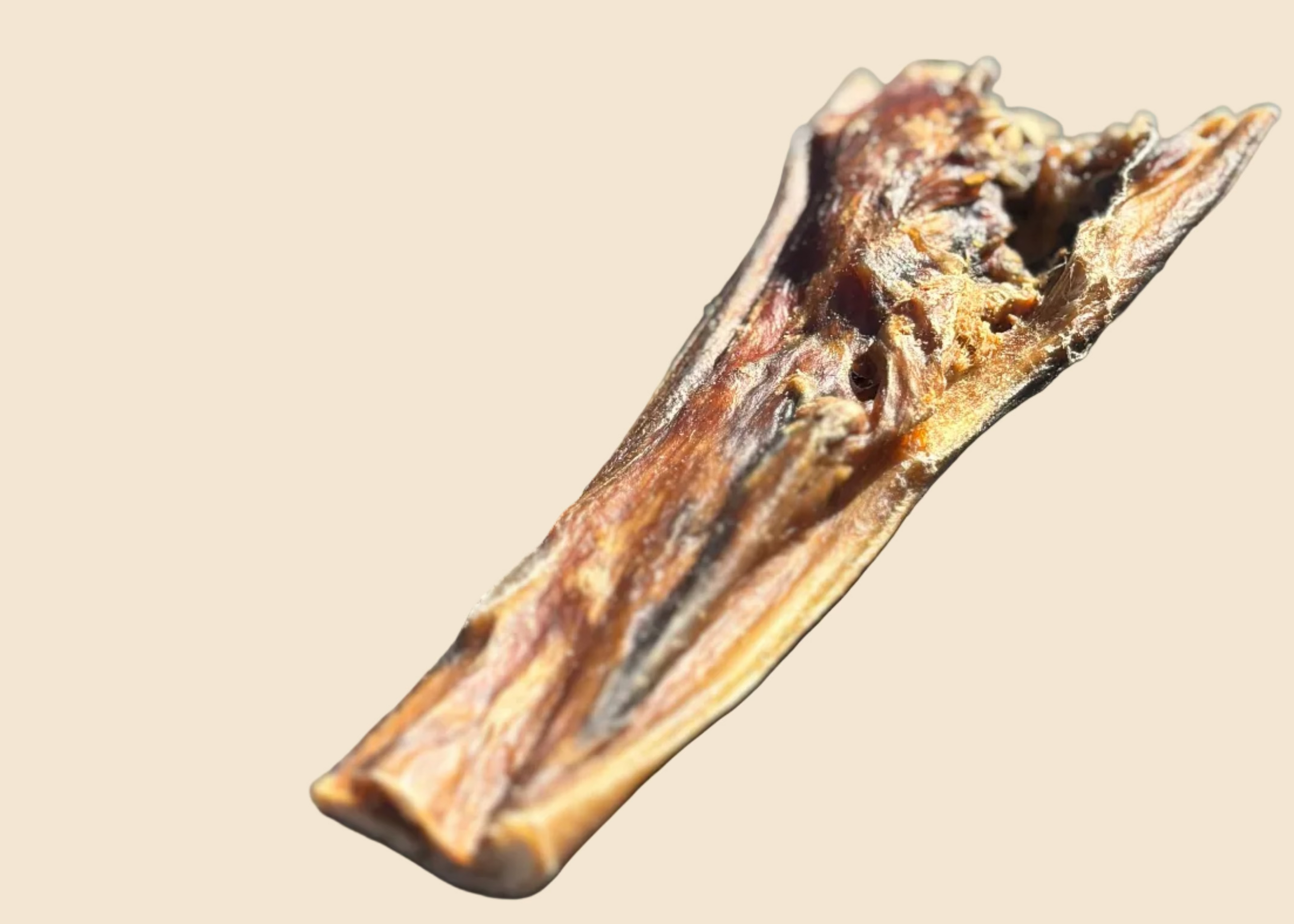 Peau de tête de boeuf (15 cm / 30 cm)