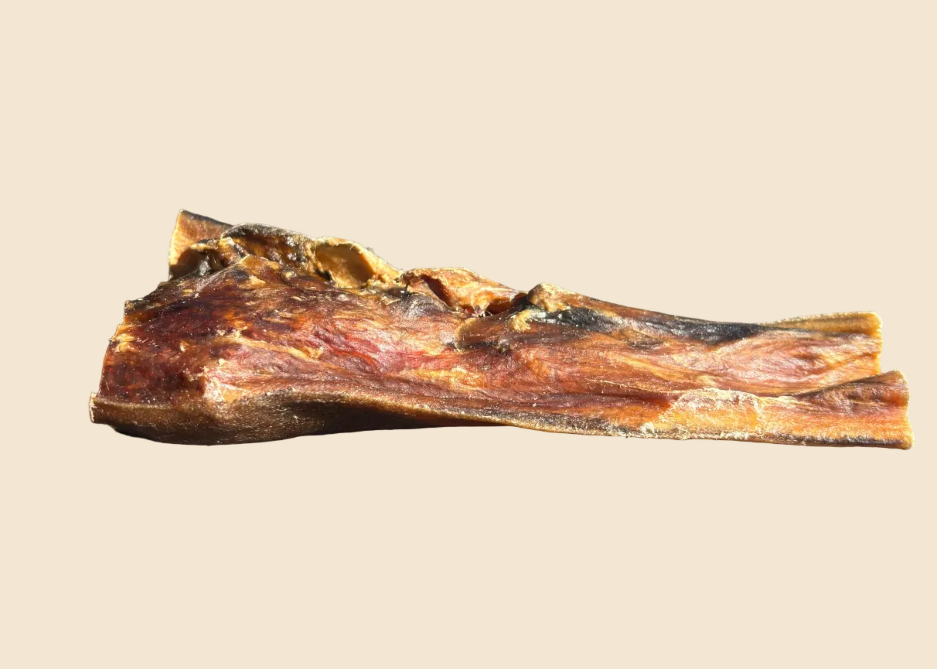 Peau de tête de boeuf (15 cm / 30 cm)