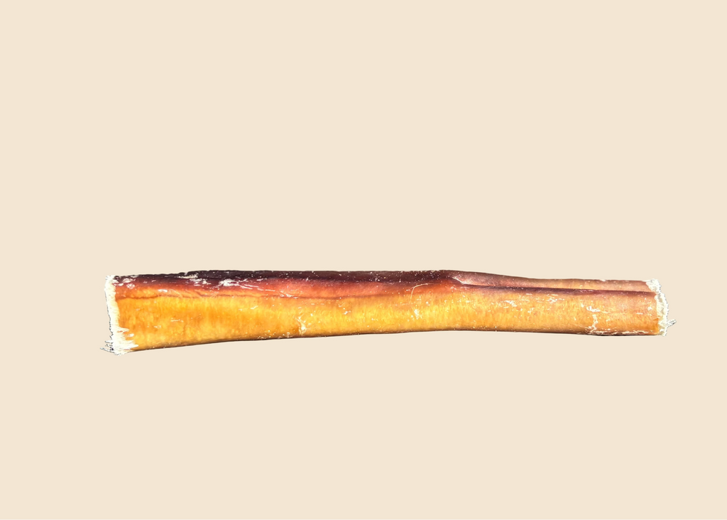 Nerf de boeuf (15 cm / 35 cm)