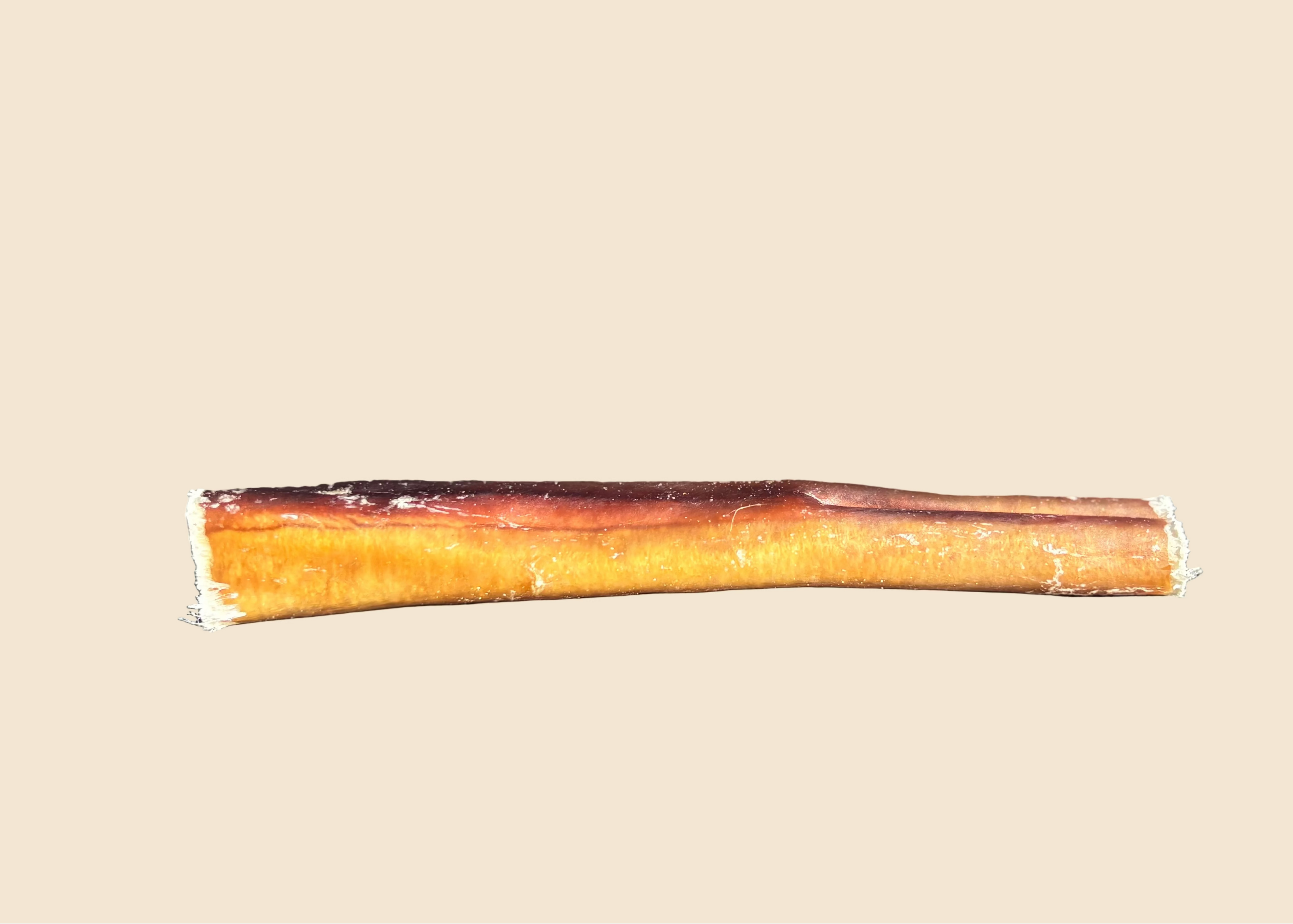 Nerf de boeuf (15 cm / 35 cm)