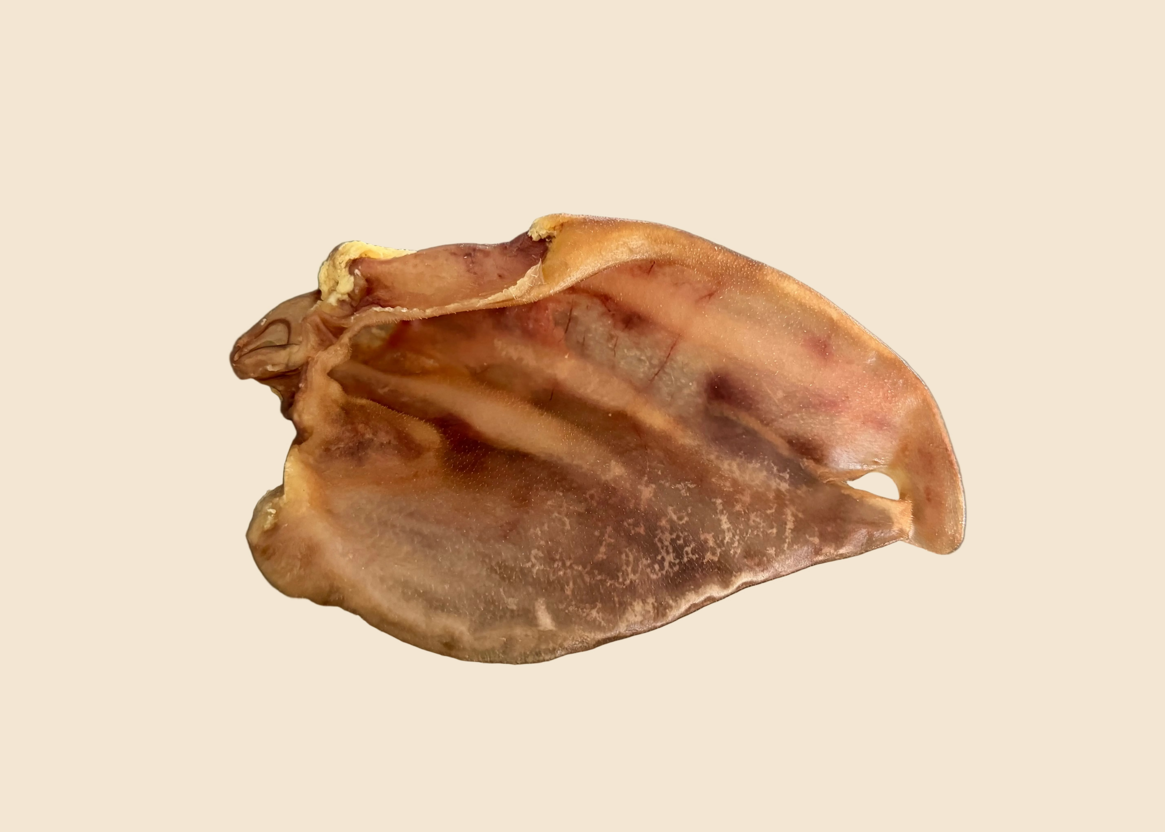 Oreille de porc XL