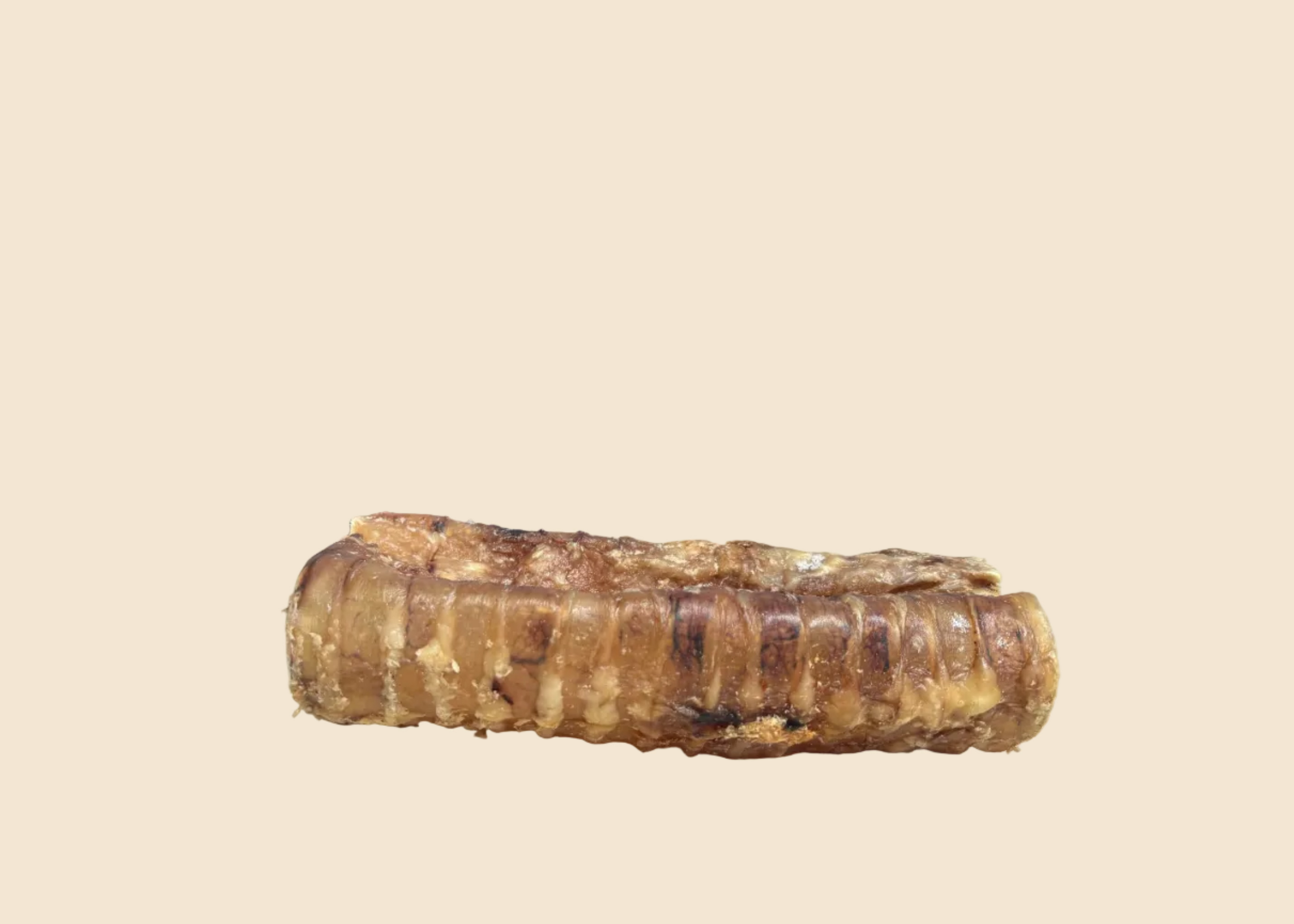 Trachée de boeuf - 15 cm