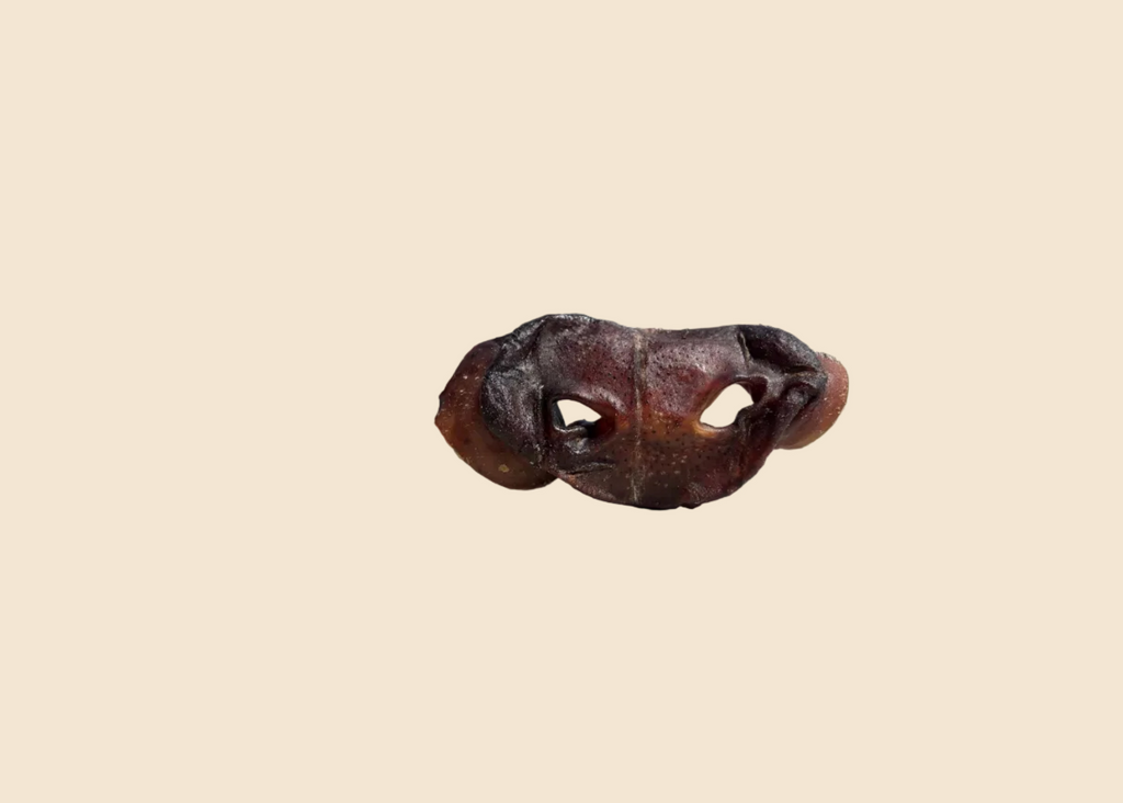 Groin de porc (par lot de 3)