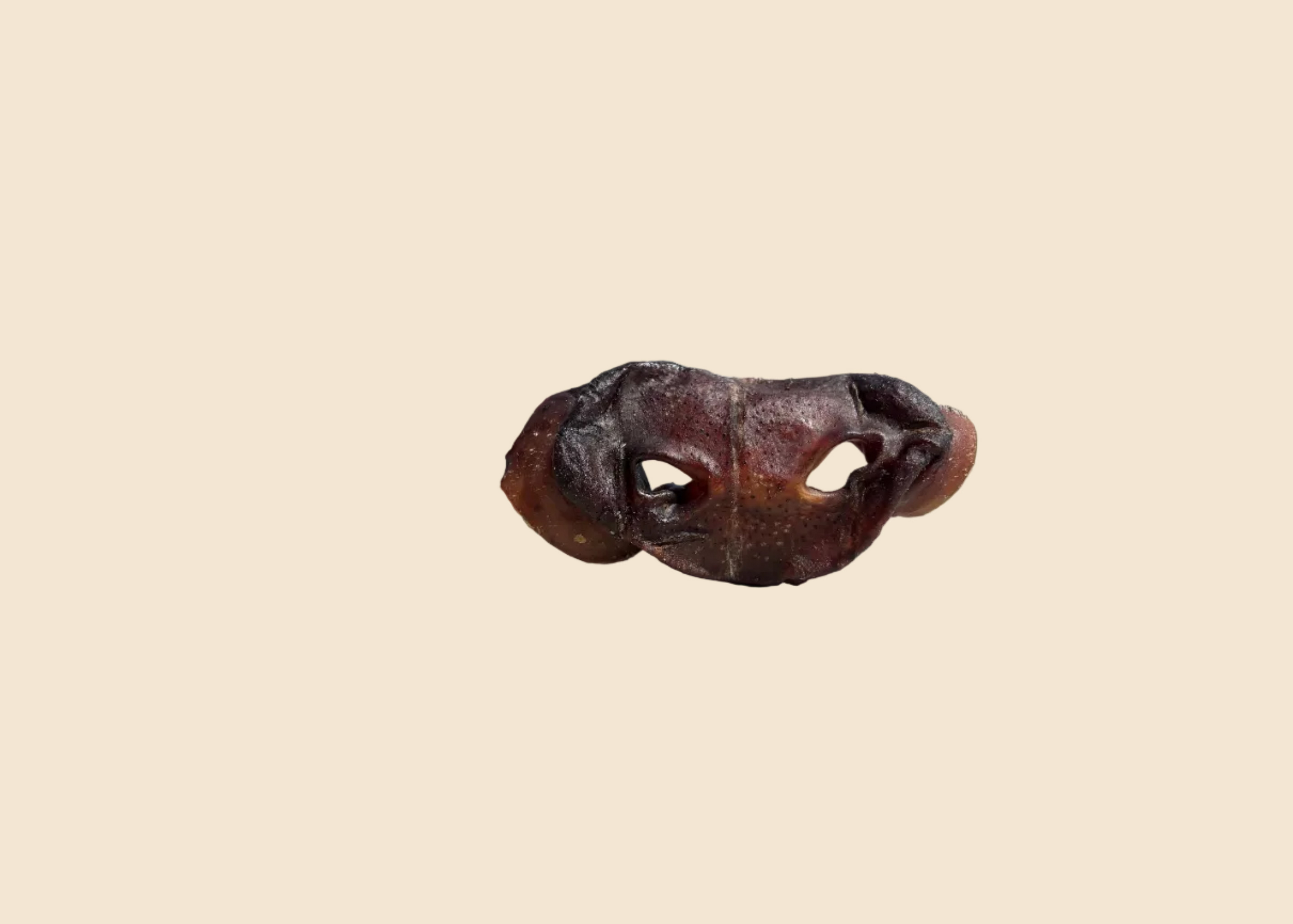 Groin de porc (par lot de 3)