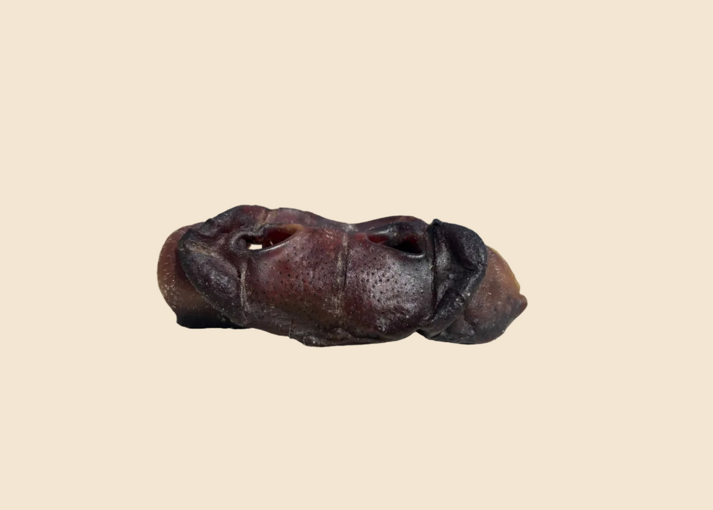 Groin de porc (par lot de 3)
