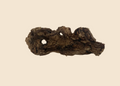Stick de Poumon de Boeuf