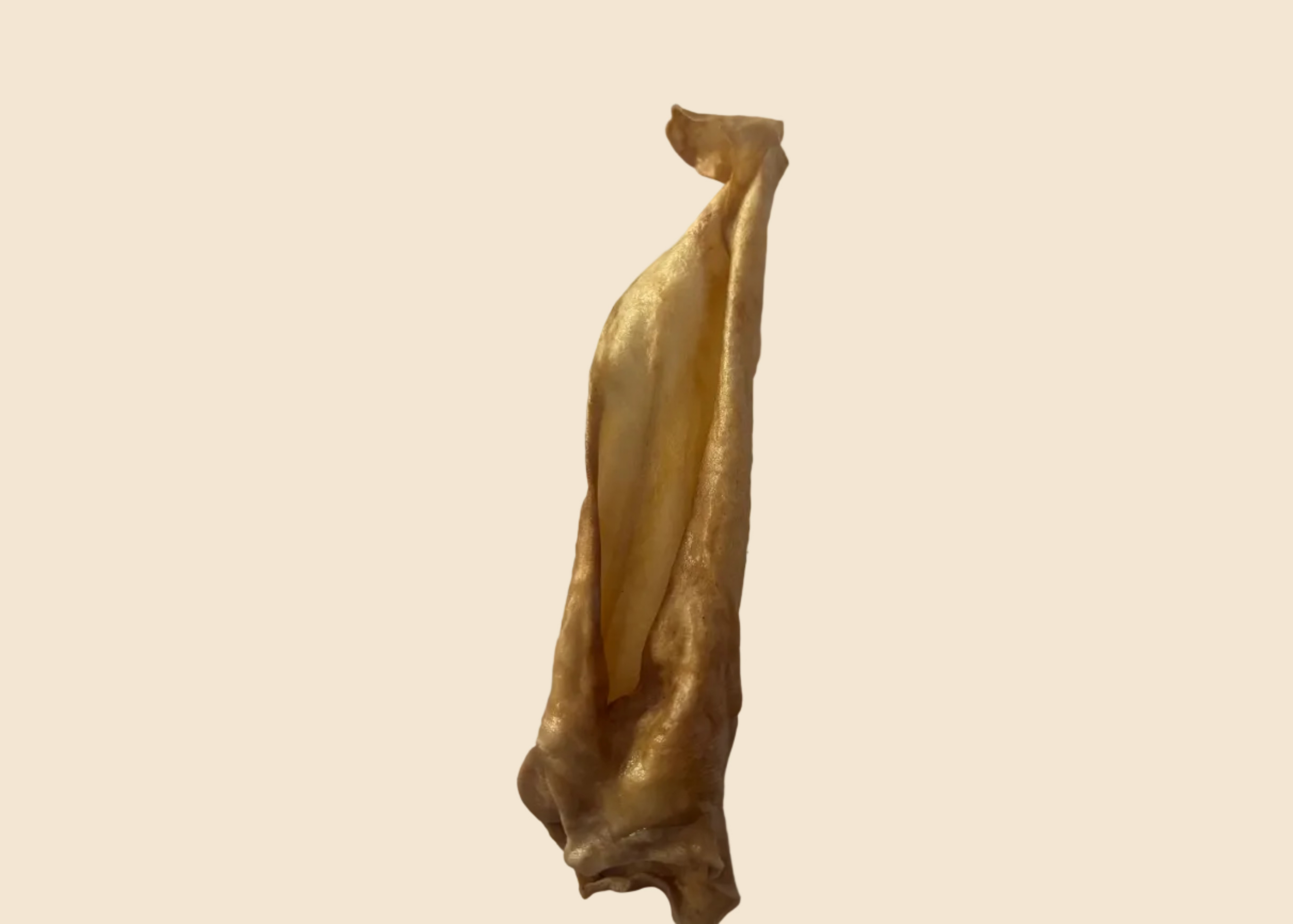 Oreille de chèvre