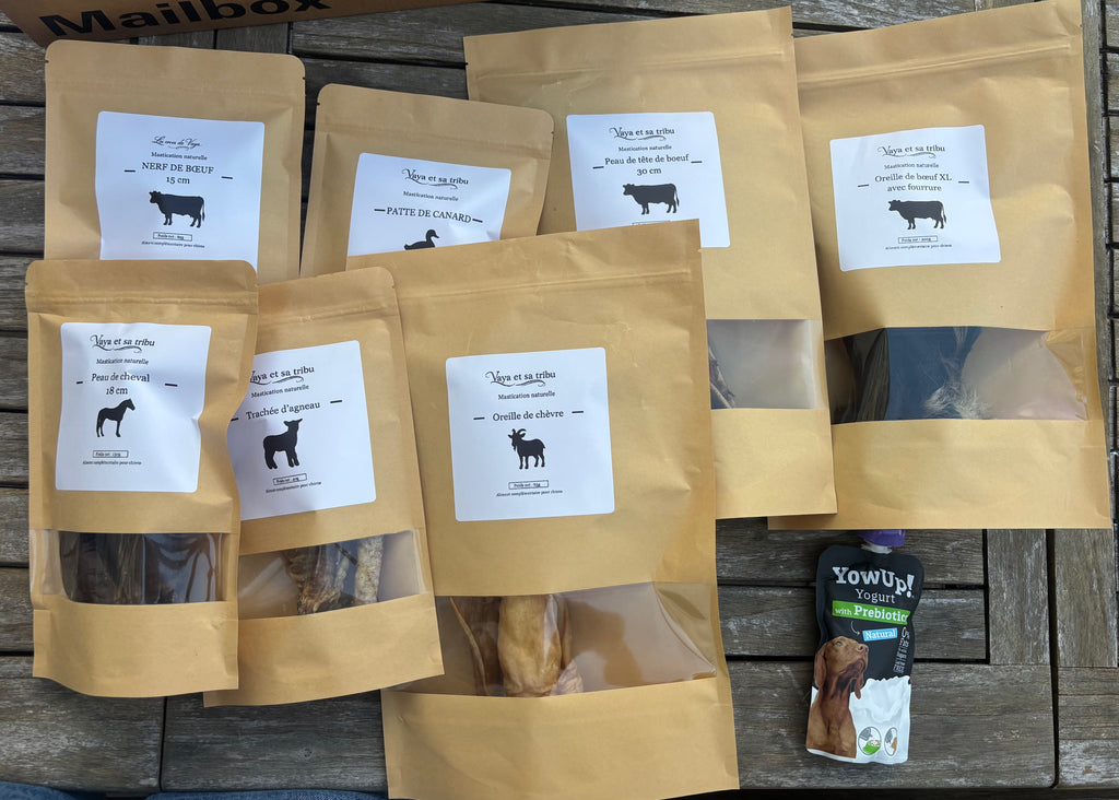 Vaya en Vadrouille - La Box de mastications de juillet 🧳 🐶