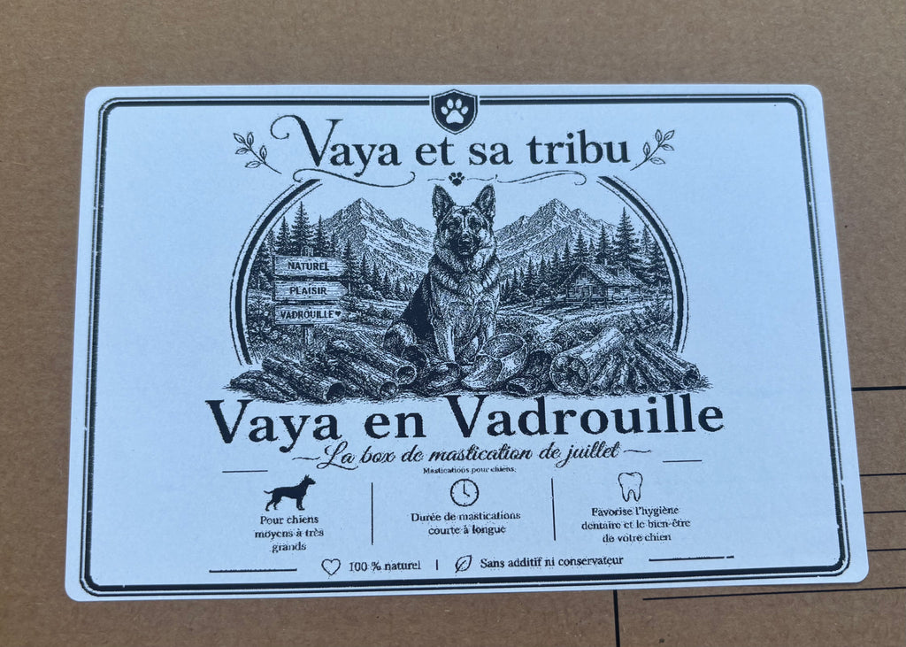 Vaya en Vadrouille - La Box de mastications de juillet 🧳 🐶