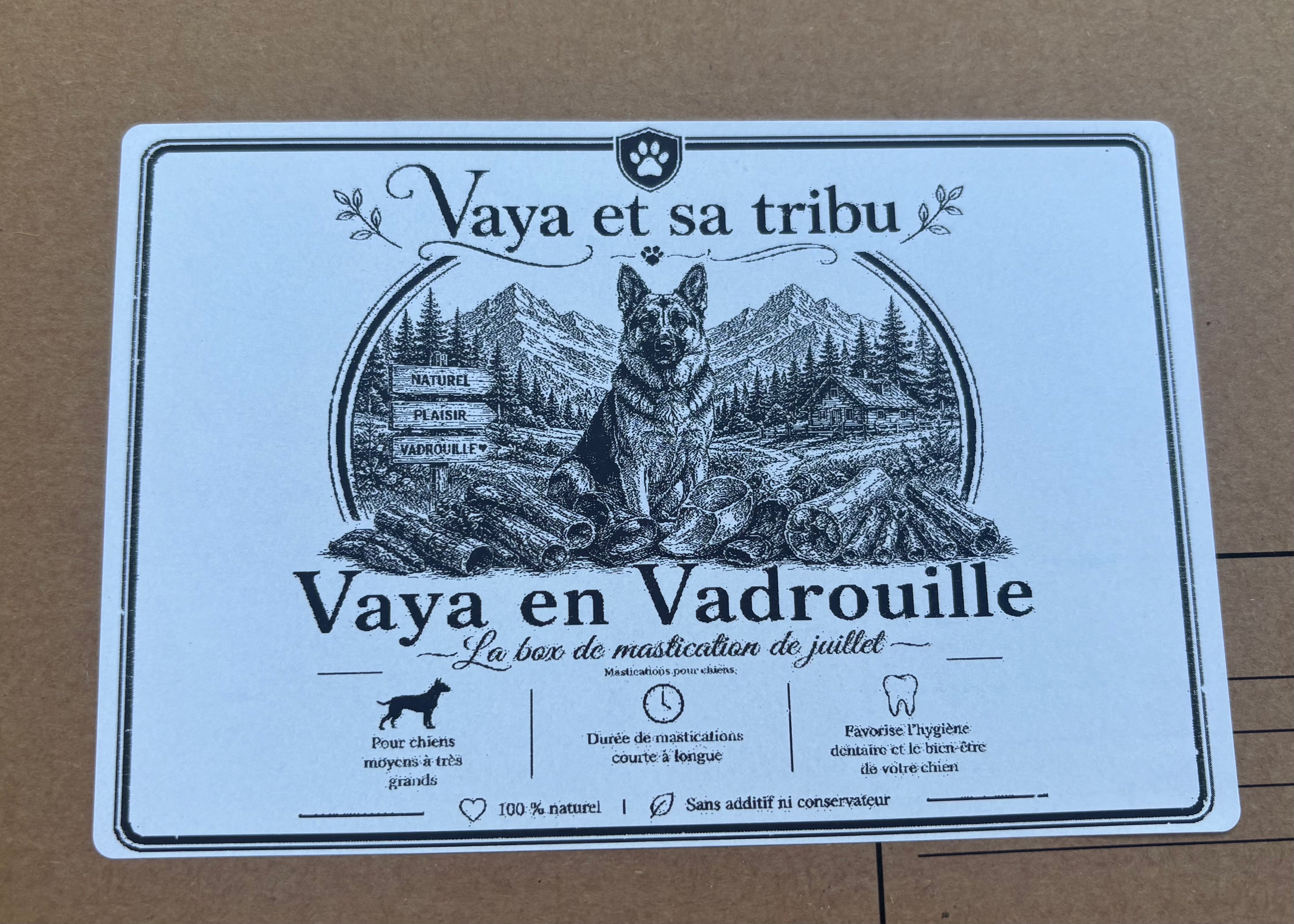 Vaya en Vadrouille - La Box de mastications de juillet 🧳 🐶