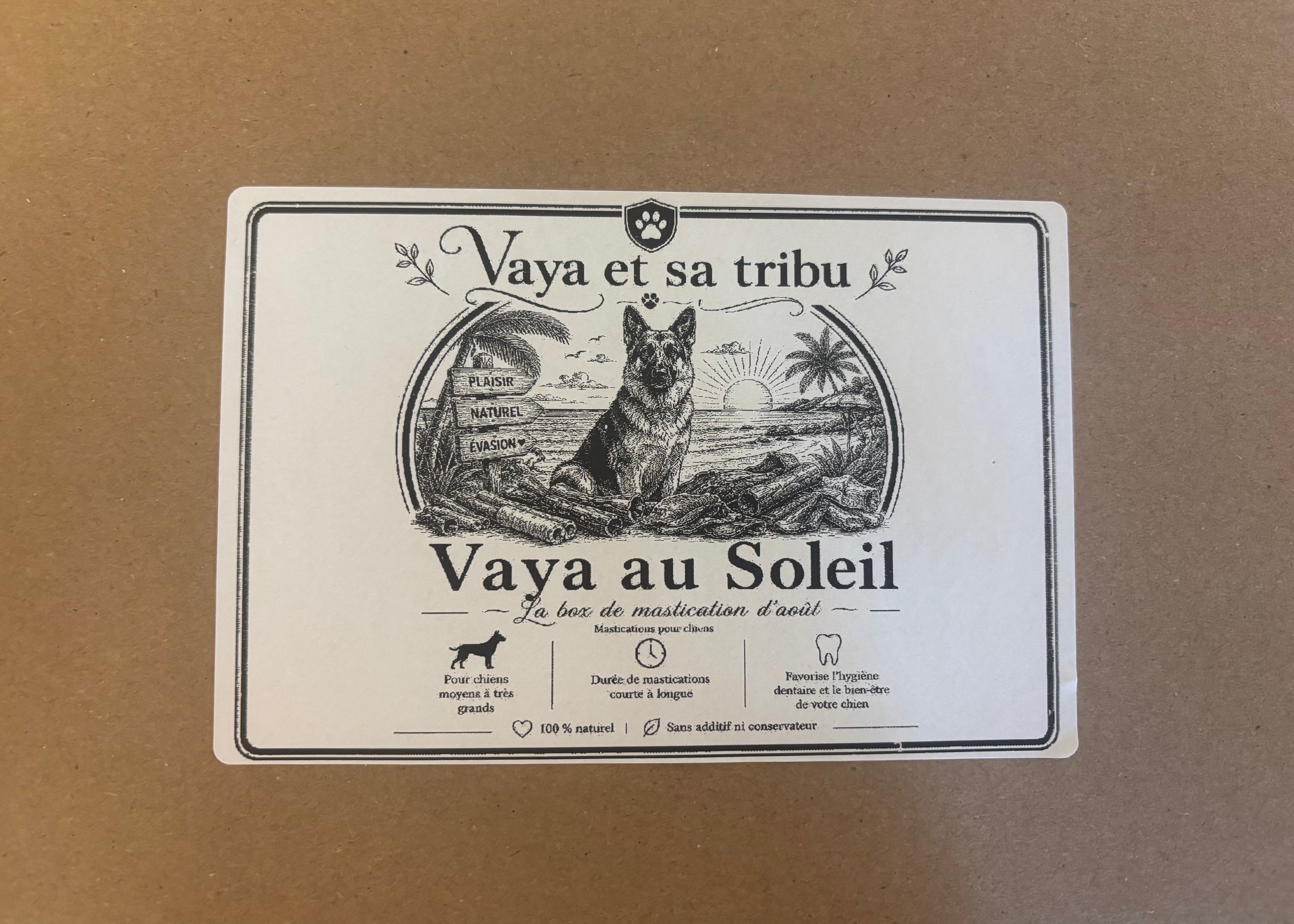 Vaya au Soleil - La box de mastications du mois d'août ☀️ 🐶